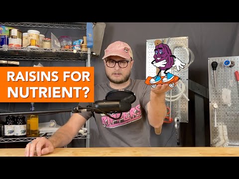 Are raisins a good yeast nutrient in mead?
