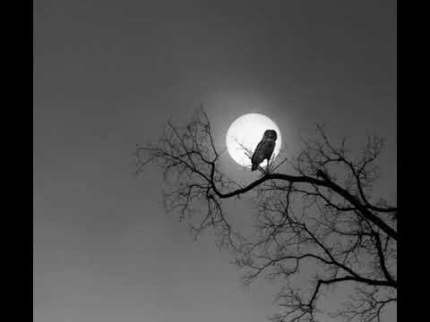 MEDLEY 02 MC MAGRINHO DJ RENAN DA BL