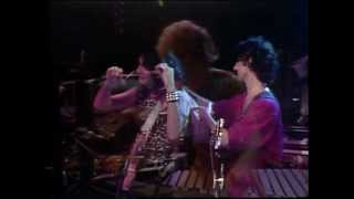 Frank Zappa  -  Stevie&#39;s Spanking