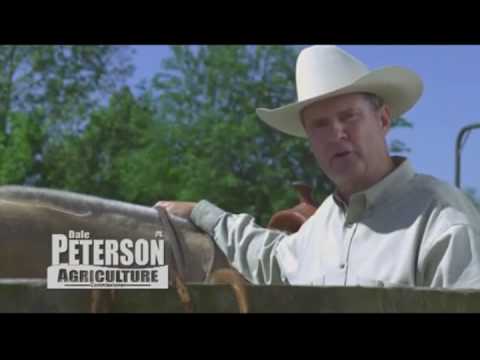 [YTP] Dale Peterson Hates You