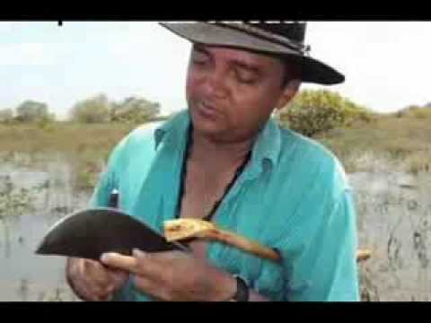 Jorge Guerrero ---Tema: ´´´El Peón Enamorao´´´