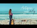 Antique Why Cover Romantic Song From 2000