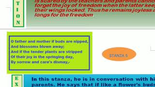 Class 8 poem 5 - The School Boy by William Blake ( honeydew)