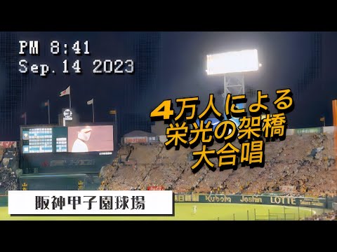 【再掲】甲子園が泣いた【栄光の架橋】阪神ファンでなくても感涙！4万人の大合唱♪