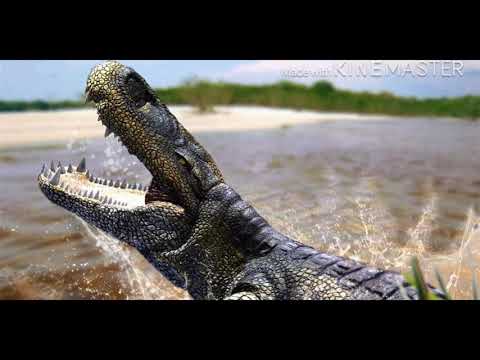 Pleistoshire OST: Purussaurus Battle Theme