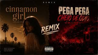 Download lagu Remix cinnamon girl X pega pega cheio de ódio mp3