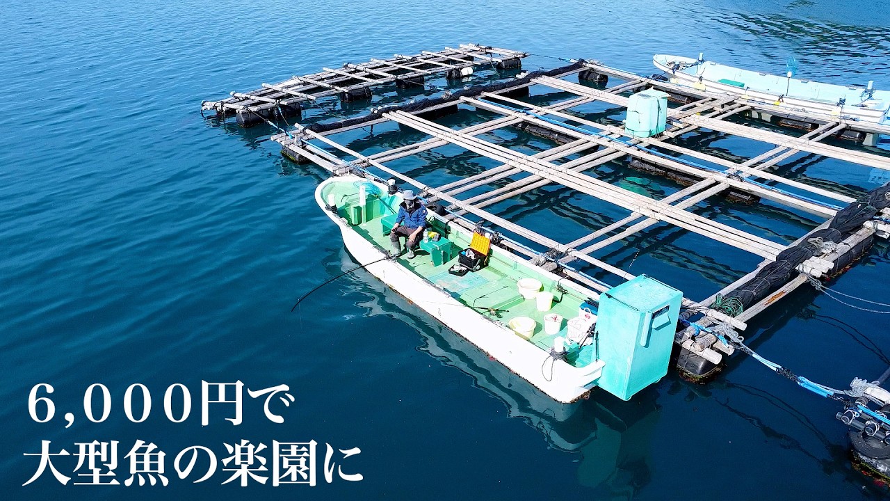 大型魚から良型アジまで入れ食い状態の某養殖筏よこで大激闘！