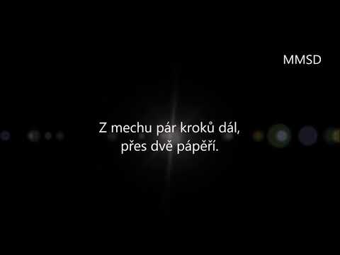 Karel Gott - Cestu znám jen já + text