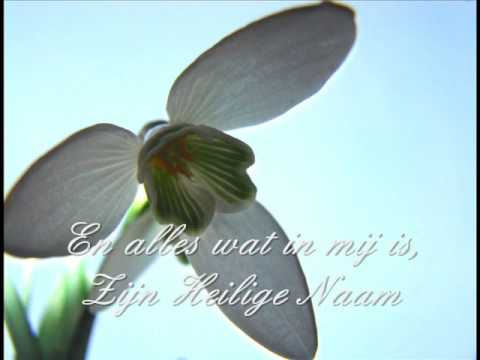 Loof de Heere, mijn ziel