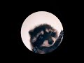Pedro Pedro Pedro Racoon Meme Full Version