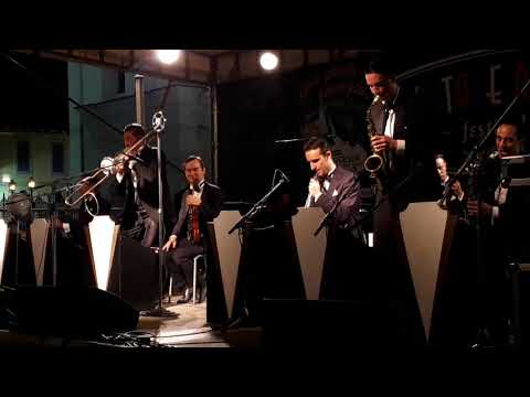 Horses - Chicago stompers @ vintage roots festival inzago