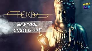 Tool - New Single 2023