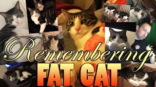 🔴 SAYING GOODBYE TO FAT CAT (2010-2021) (VERY SAD)