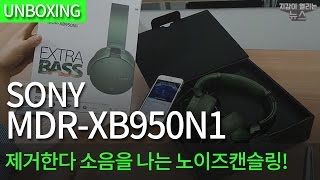 SONY MDR-XB950N1 (해외구매)_동영상_이미지