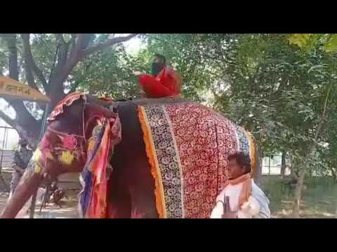 Baba ramdev fell from elephant funny video