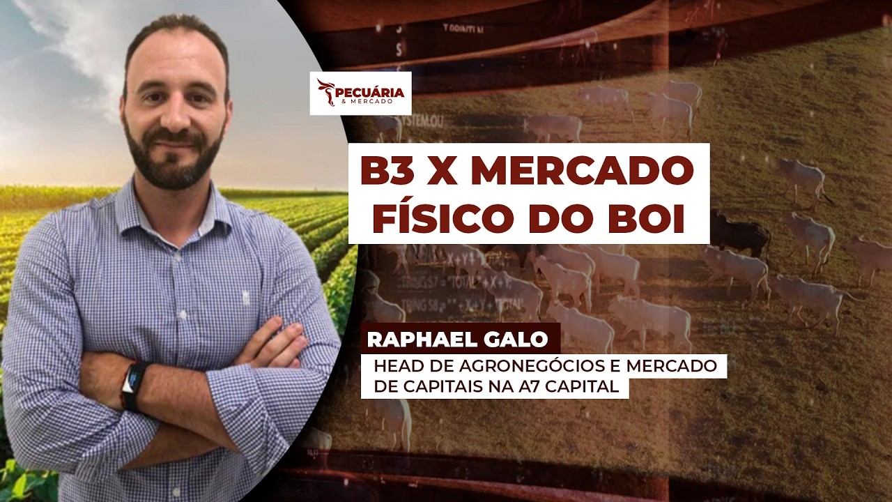 Falta da demanda chinesa será usada pelos frigoríficos como ponto de pressão sobre arroba