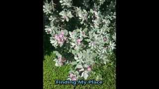 Welcome to my place!