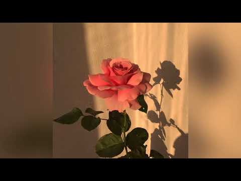 ASEL  -  아이였잖아 (feat. RHEEHAB) (Prod. N-SOUL)