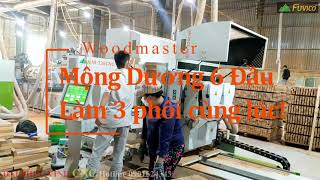 MÁY PHAY MỘNG DƯƠNG CNC 6 DAO WOODMASTER WM-226CNC