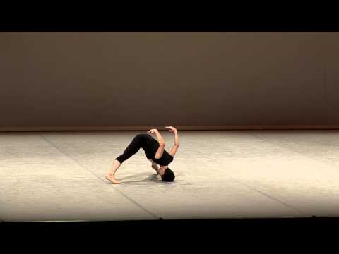 Mengfan Shen - 2013 Selections - Contemporary variation