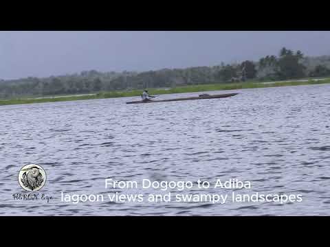 From Dogono to Adiba lagoon views and swampy landscapes paint the heart of Delta Fly District 🌿🌊