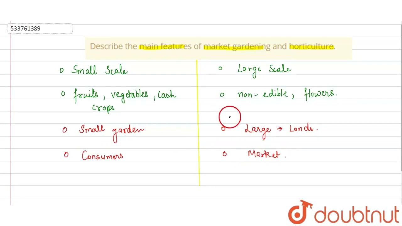 Describe the main features of market gardening and horticulture. | CLASS 12 | PRIMARY ACTIVITIES...
