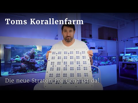 The ATI Straton Pro Gen 2 is here!