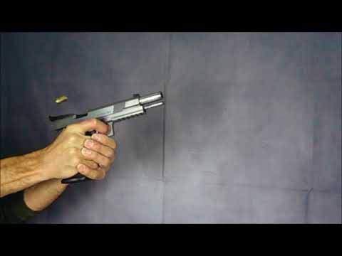 WSV Zeitlupe Reptile 45ACP