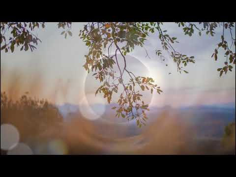 Eye Color Dreams - Moon Son (New Moon Meditation)