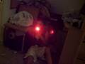 Stop The Terrists Part Ll Preview