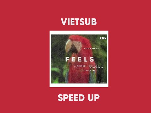 [ Vietsub + Speed Up TIKTOK] Feels - Calvin Harris ft.Pharrell Williams, Katy Perry, Big Sean