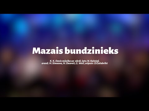Mazais bundzinieks