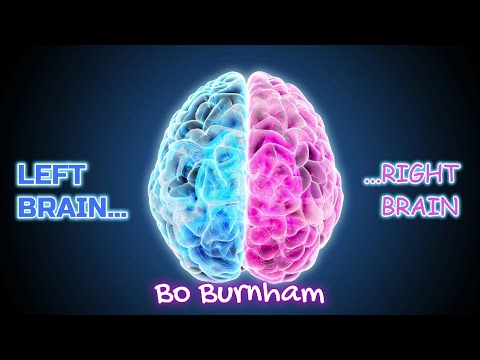 Left Brain Right Brain KARAOKE | Bo Burnham (Computer voice included)