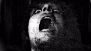 Pink Floyd - Vegetable Man (Custom Music Video)