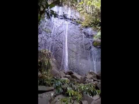El Yunque Tropical Rainforest Waterfalls (PR Trip '13 day 3)