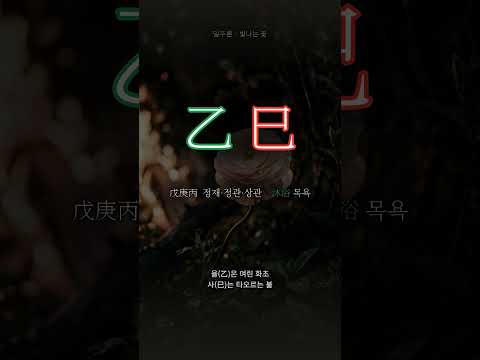 불빛 아래 핀 꽃 | 을사(乙巳) 일주
