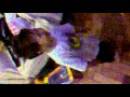 Patati Patata Mp4
