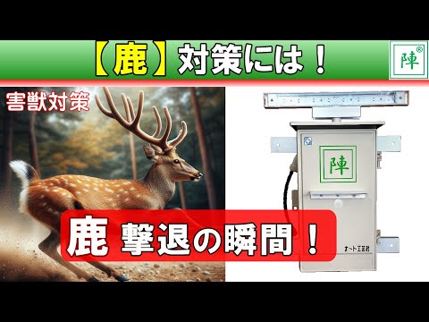 鹿を庭から追い出す 庭の練習