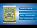 Видео о товаре Tetra Plant InitialSticks, удобрение для растений для быстрого роста / Tetra (Германия)