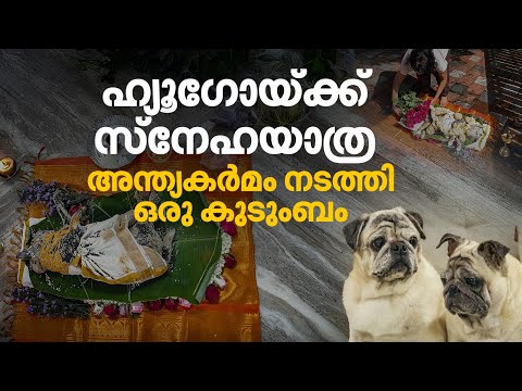 അവന്റെ ആത്മാവ് എന്റെ അച്ഛനൊപ്പം ഉണ്ടാകും; പ്രിയപ്പെട്ട നായക്കായി അന്ത്യകർമം നടത്തി ഒരു കുടുംബം