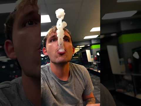 How to Do the French Inhale tricks. #french #inhale #tricks #vapefree #vapeindo #asmr #vapingstyle