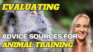 Navigating the World of Behavioral Advice in Animal Training