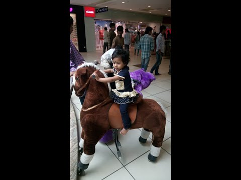 Krishna Priya Birthday Celebrations