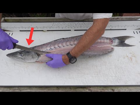 Smoked Teriyaki Barracuda - Start To Finish