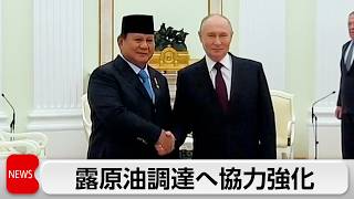 インドネシア大統領　プーチン大統領と会談　エネルギー・経済の協力強化で一致