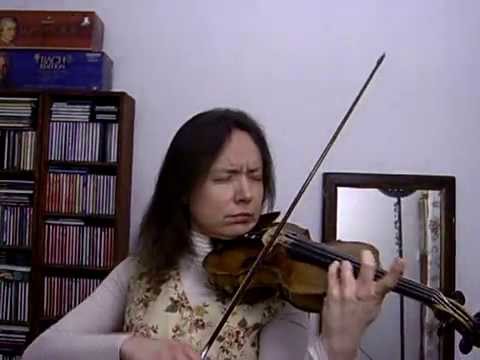 Julien Doré Paris-Seychelles 4 Anne Gauché Violon