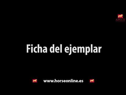 Tutorial Venta de Ejemplares - Buscador