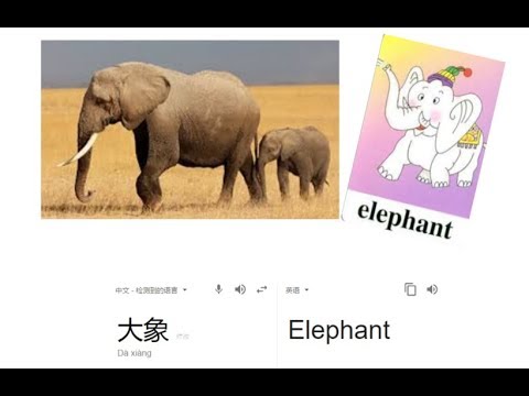 Video Sample