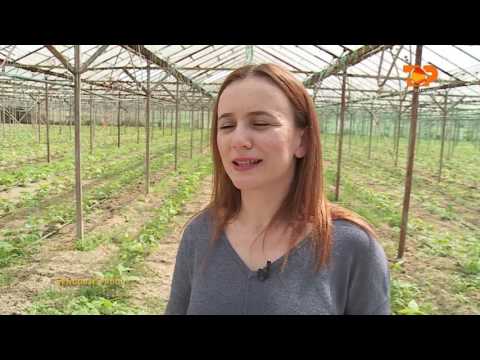 Ne Shtepine Tone, 10 Maj 2016, Pjesa 4 - Top Channel Albania - Entertainment Show