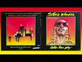 Stevie Wonder - Cash In Your Face - HiRes Vinyl Remaster
